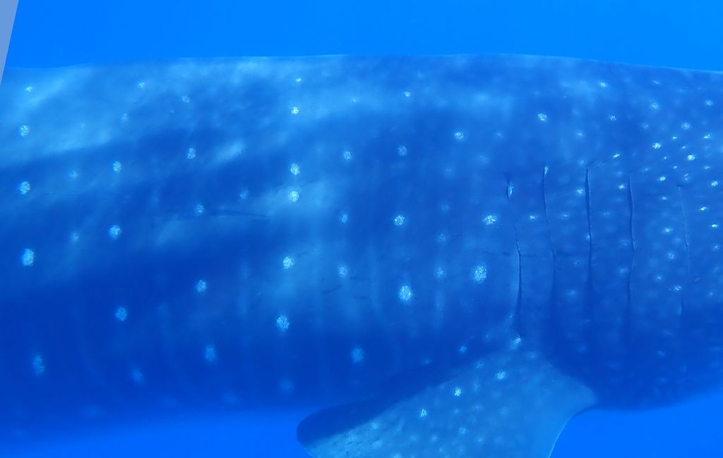 483c5611-bb67-4681-bf9d-3548edcf104b