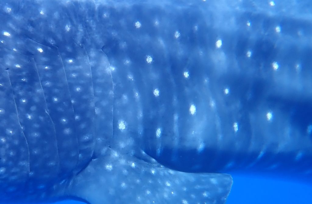 483c5611-bb67-4681-bf9d-3548edcf104b