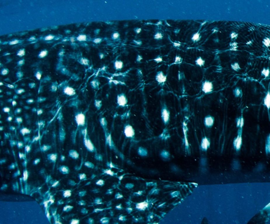 fd4626e3-0a91-4a69-b42b-f3982b0052c6