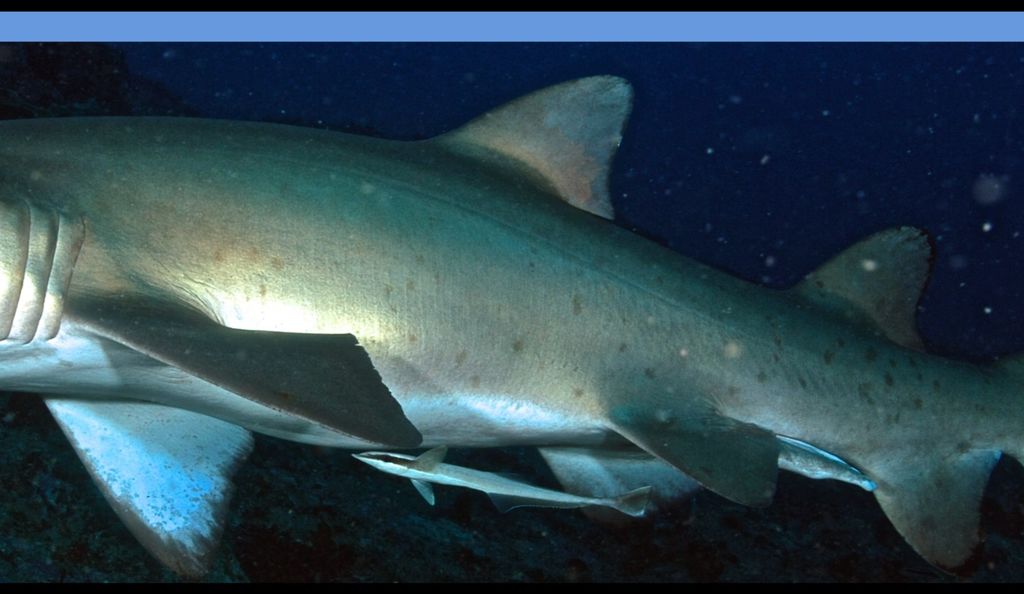 ac00deb3-b928-4f3c-82b0-6f6ccd036067