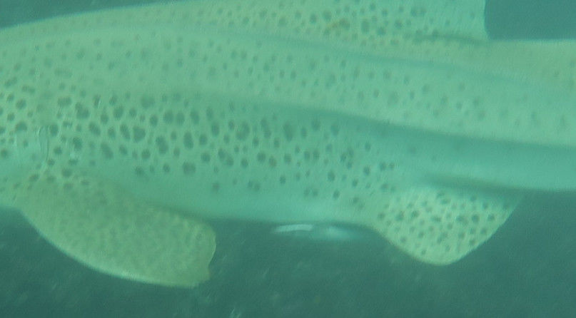 6a2bbd36-674f-46a5-ac56-951197cfdb43