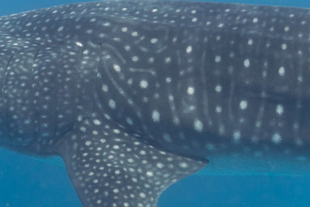 92138322-2f5d-437c-a803-f2b986402d04