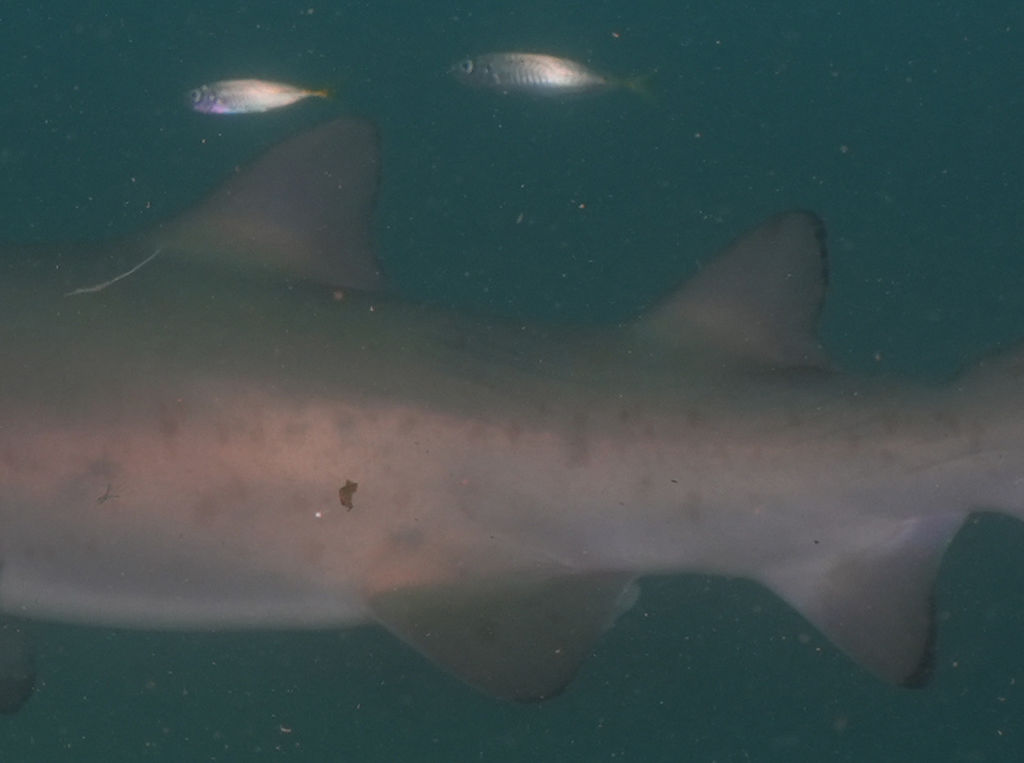 b71a51ef-e8a3-41d5-8599-1bf2353f1478