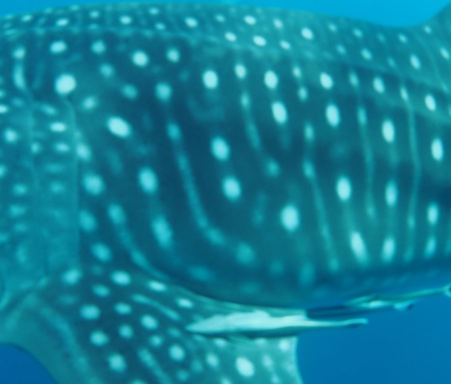 6e8999d6-9c7d-456a-b0eb-d6fa578b858a