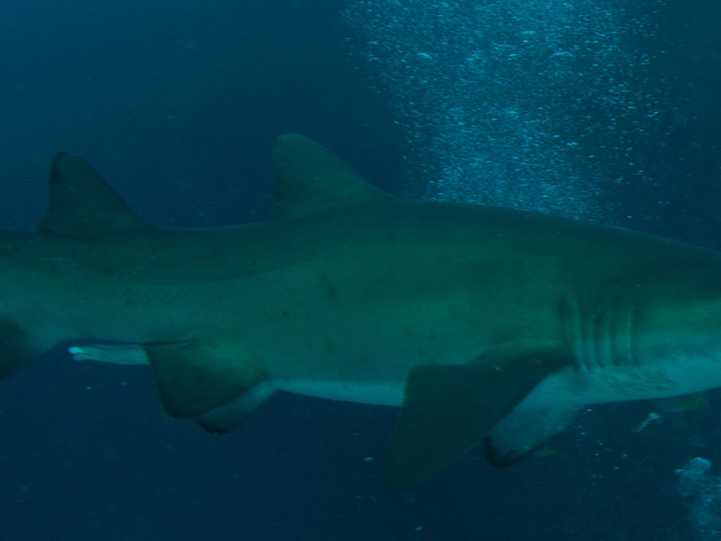 6d230bc7-8102-44fb-b6a4-72f60ea9970a