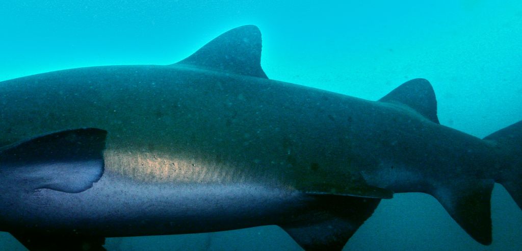 1b55a210-936b-45f5-bed9-3517e039a2a9