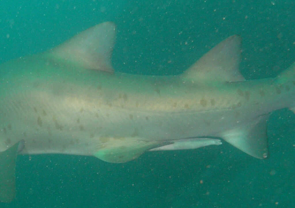 79d056fd-33ee-4d11-b814-9477c6b84ce0