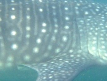 9a362f03-e22d-4a26-b2e0-9dc4ffb9d634