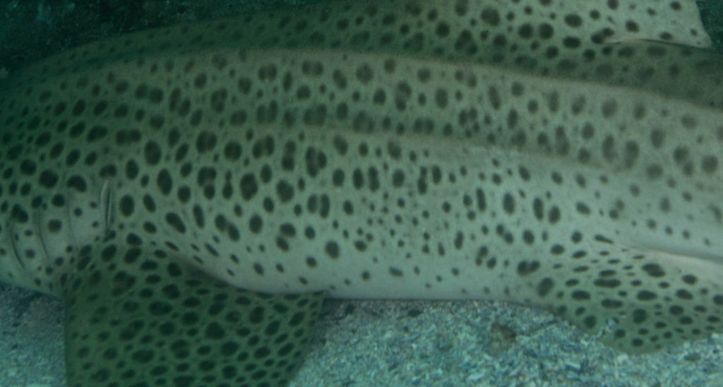 cad3d0cd-d7e4-47a0-afa3-68eee758c514