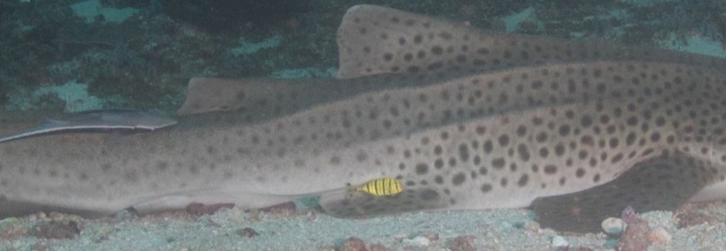 23cc2d04-8df3-4852-82b1-9601e7ec4ccc