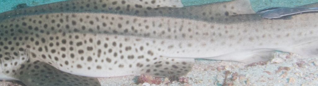 23cc2d04-8df3-4852-82b1-9601e7ec4ccc