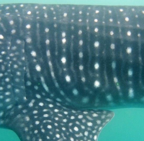 4ff16873-11bf-4c07-90d6-4a30cc3715ec