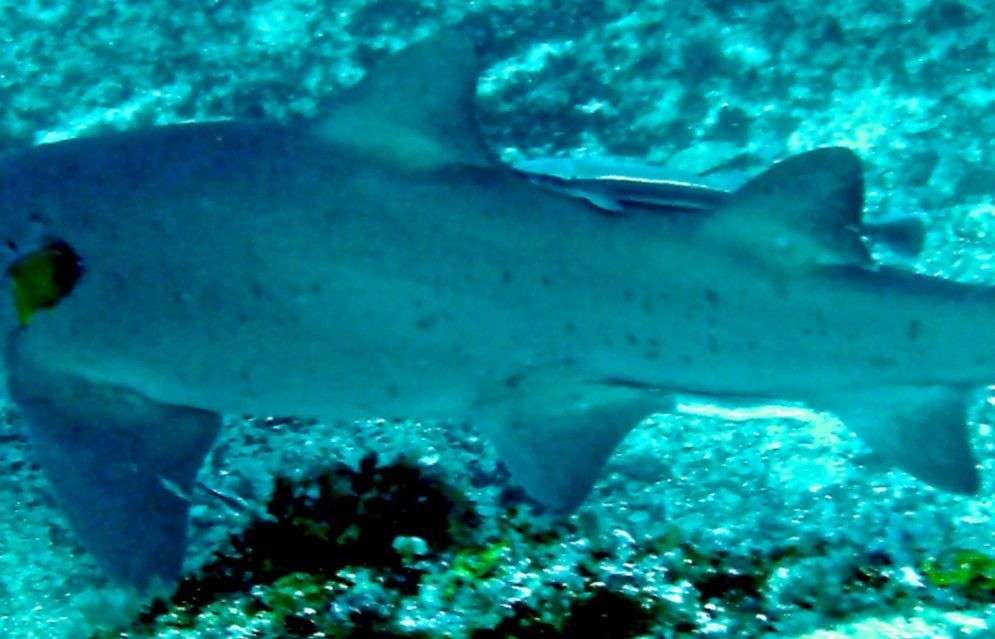 03116592-b95d-488d-9161-ac7b2abef762