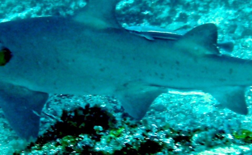 03116592-b95d-488d-9161-ac7b2abef762