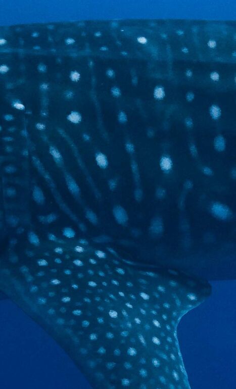 e28c476b-94a3-4b0d-84cc-e954823daca4