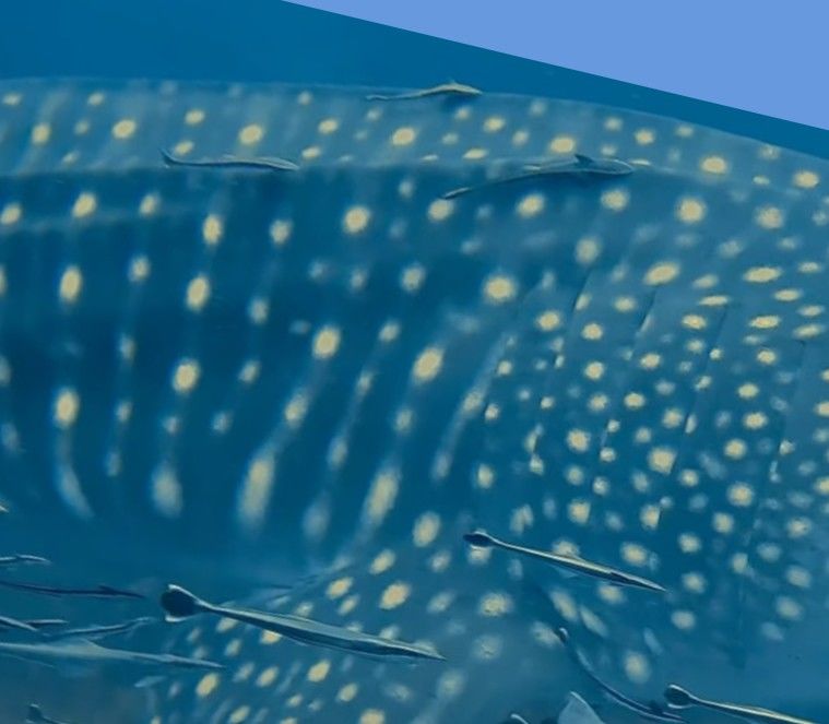 b6f060d9-d6d0-418b-8948-f3afe64b55b0