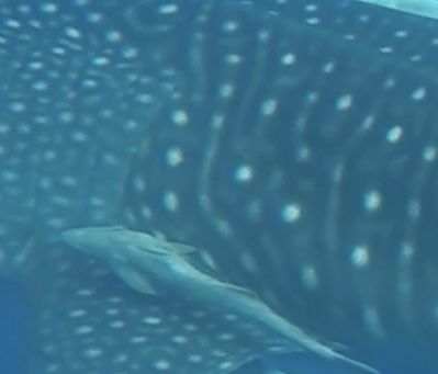 12e75587-4969-4d59-85a3-50acd48b7902