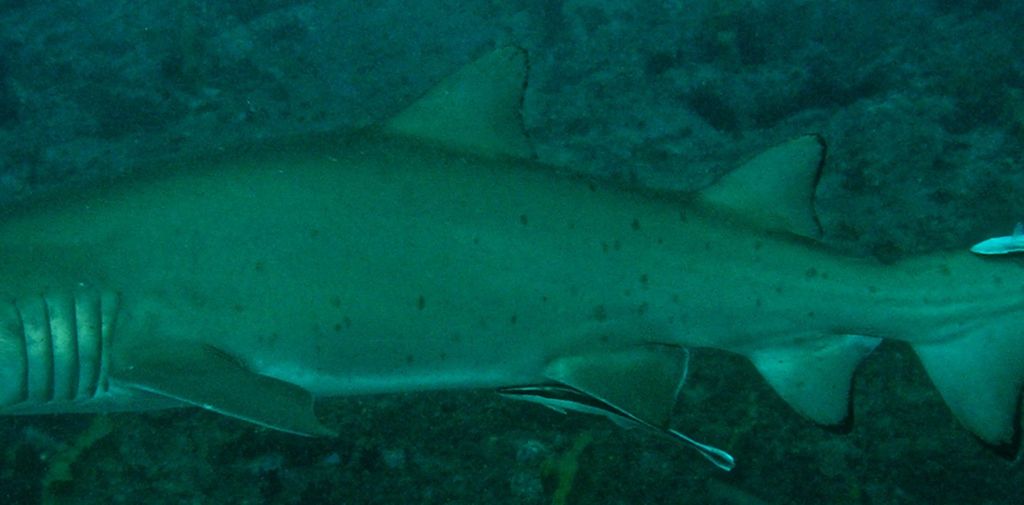 40a6e00c-4e63-40cb-b679-0b2841bace17