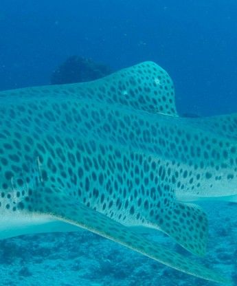 a94a7c22-4cea-4a0a-815b-ccfec7798497