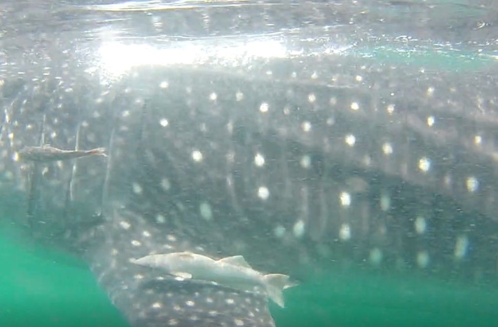 97d2b7b3-9a24-4ee6-9d65-adfd0004daa4