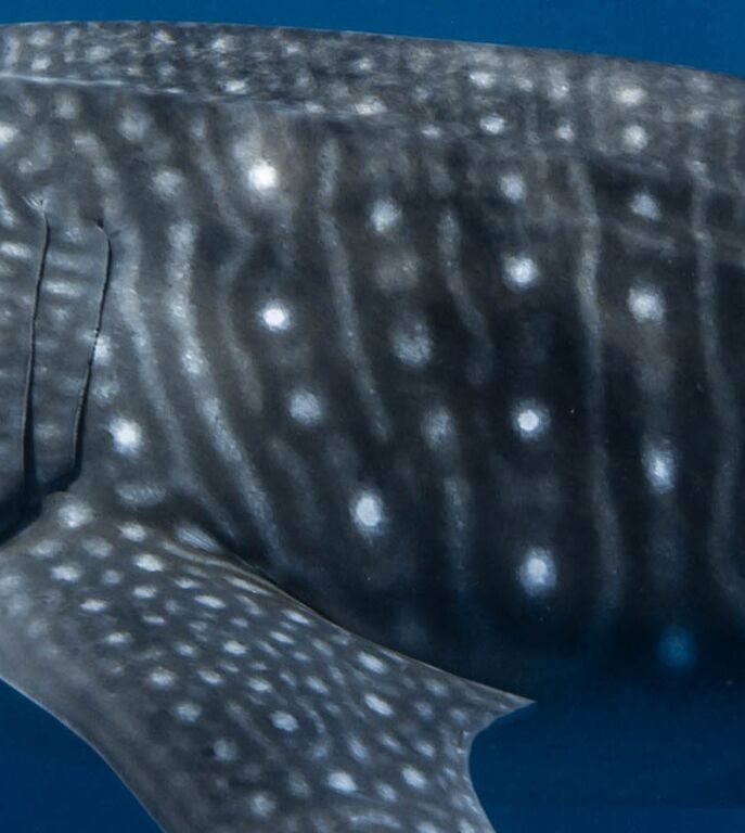 7ad38922-20b6-41d5-b584-5590c9a3fdc0