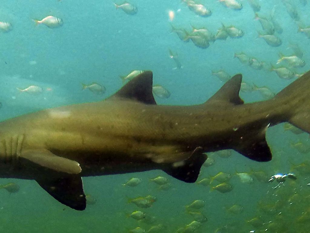 14bc267d-7ec3-4fe4-b62c-c16a8ca5c2f9