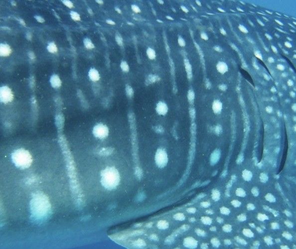 67d94141-f869-4948-97f6-1cca3a2c80d8