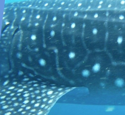 67d94141-f869-4948-97f6-1cca3a2c80d8