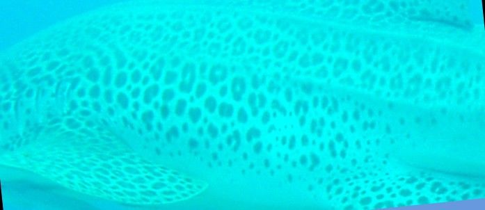 5de988e3-07cc-46db-86c2-f125e50304f8