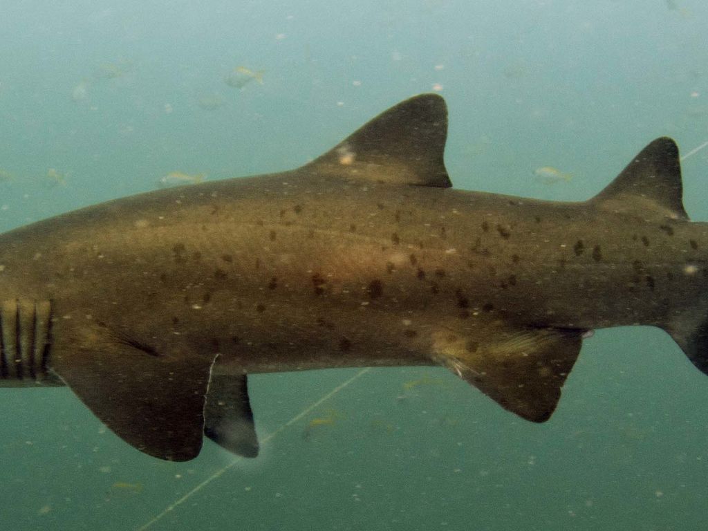 c409b2d6-b099-4564-b052-1b3ab6825d21