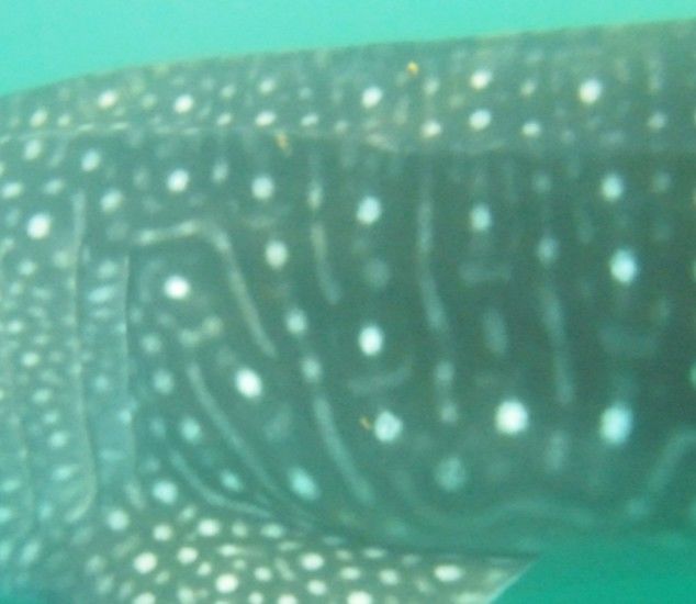 85f7cb64-73e3-4a5f-b135-4ed13c2f9f05