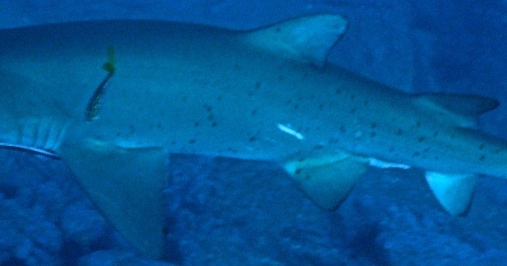 f70bd404-6b63-478a-bc83-eb52b8c527e2