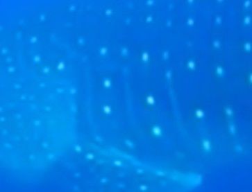 b823d8de-518a-4c91-963e-21dc8dc678b1