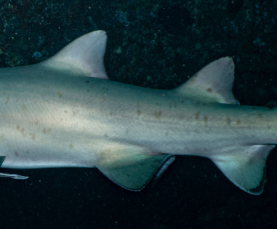 ed5442a3-3245-4d30-90c3-9478c40ab393