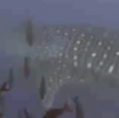 f75897dd-4c89-4638-b8f4-053bd97a994c