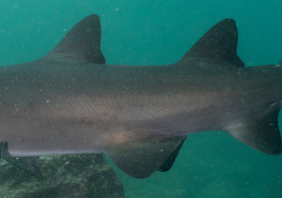 41025f08-4e6e-413e-aa47-b3ec115e7107