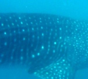 42bd18e0-c6de-4ba0-be07-632d99e56a46