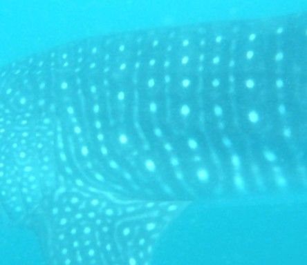 42bd18e0-c6de-4ba0-be07-632d99e56a46