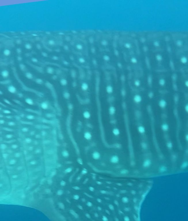 6a6bc5ec-dd3e-42cd-8ddb-e4eb04c1352f