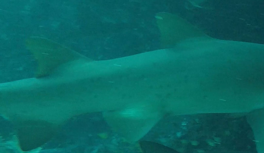 9e2c5d44-7d5f-4ed1-9cb3-5bac88e456c2