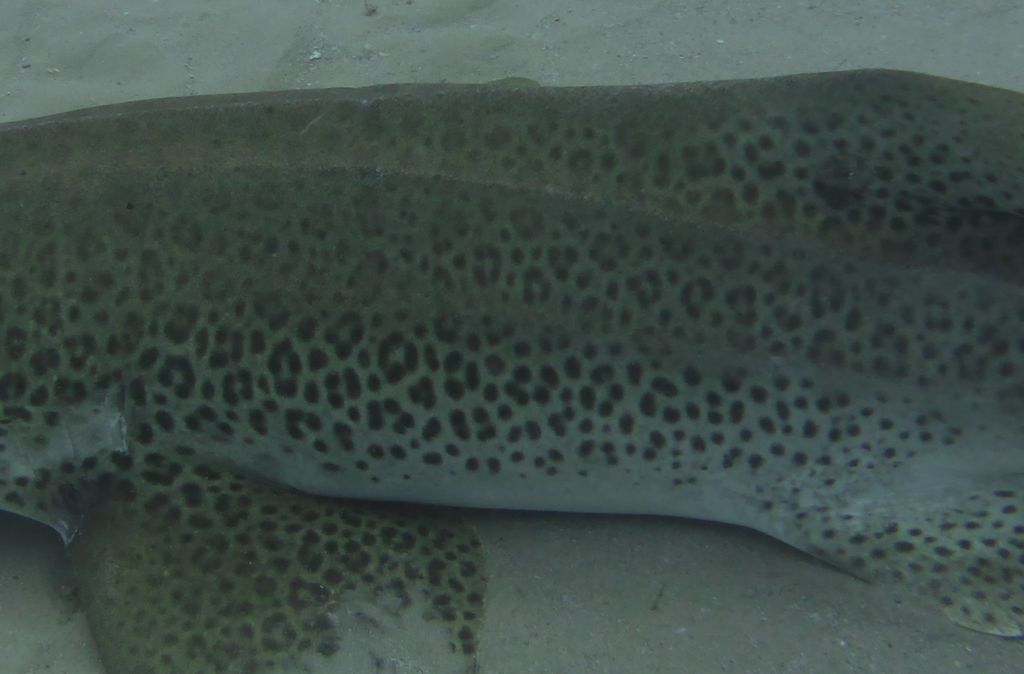 581dc8cf-63d8-48e1-b2a6-5c383c0fcf05