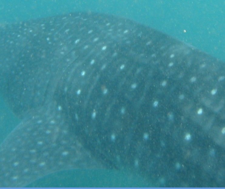 5547c05e-2c2d-4228-b28a-88c31dce8c5d