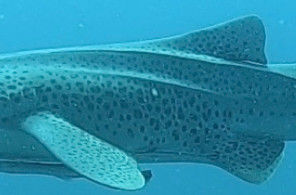 9c29fd8b-131f-457d-8f81-92044c46d85a