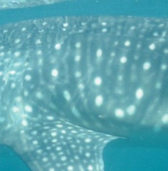 5a71739f-5d90-4175-a2ca-1d7d0717b936