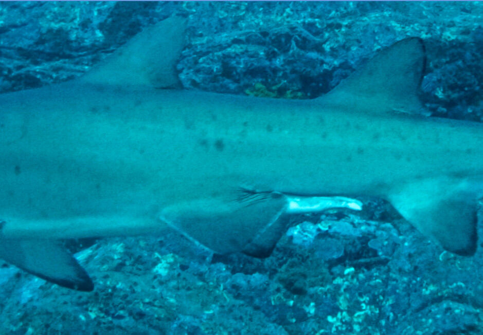 1e220202-5e15-4119-97e9-4ce1144f9864