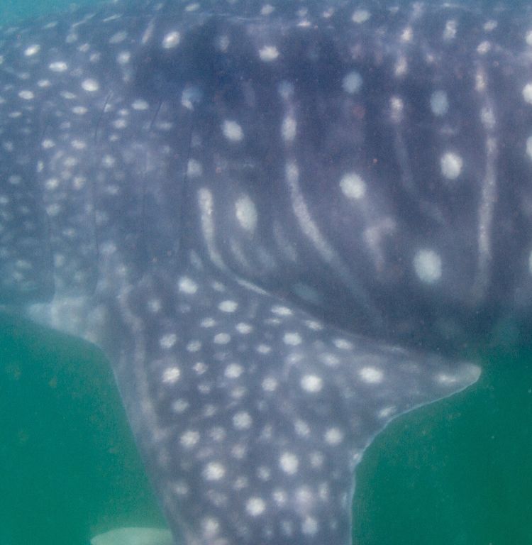 51d3e326-7903-420a-9f8f-6c9fb9716cf4