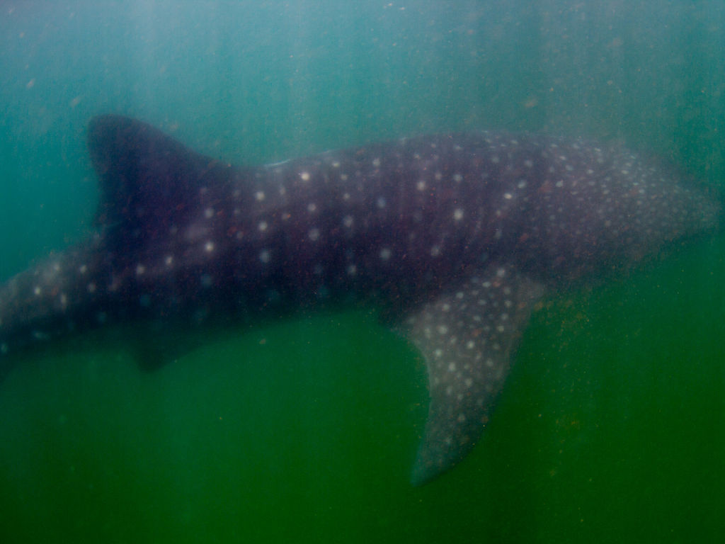 51d3e326-7903-420a-9f8f-6c9fb9716cf4