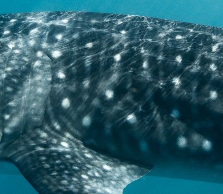 1199b6c8-f0ee-4aae-ae31-13c7b8bdb709