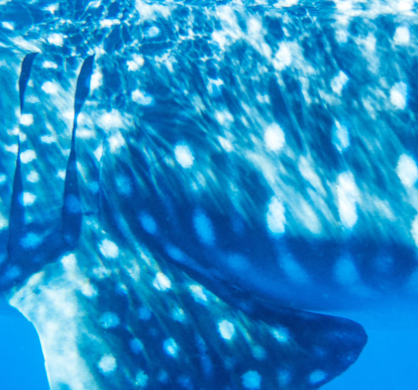 215892a3-d762-4abf-bd13-5bc3aae8621a