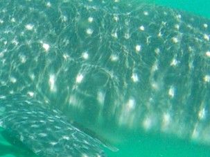 4198707c-1b29-4745-9f22-250e3e469ce2